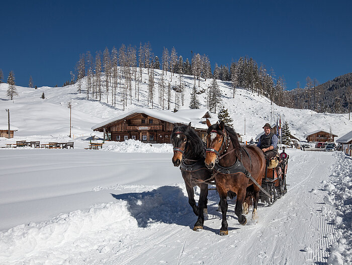 Mehrere Personen fahren mit einem Pferdeschlitten über die winterliche Landschaft