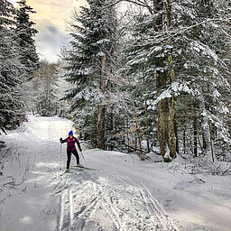 Langläuferin auf verschneitem Waldweg bei diffusem Winterlicht