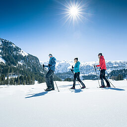 TVB_Shoot2 Drei Schneeschuhwanderer im Winterpanorama unter blauem Himmel