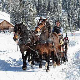 Mehrere Personen fahren mit einem Pferdeschlitten über die winterliche Landschaft